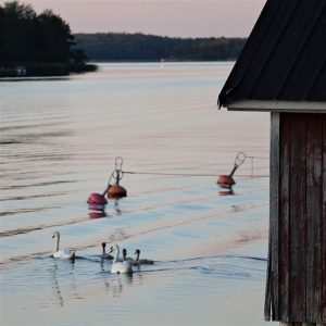 Kesä